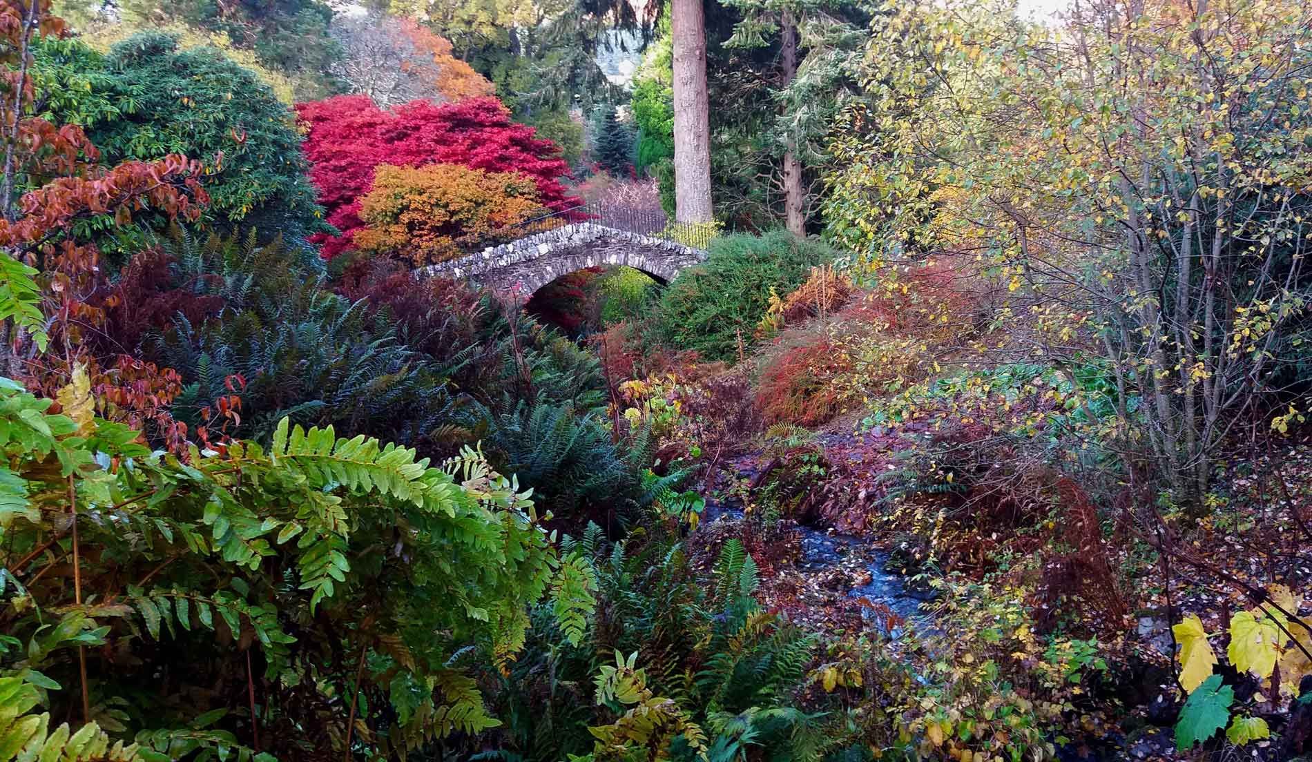 The Dutch Time Bridge at Dawyck Botanic Garden in Autumn