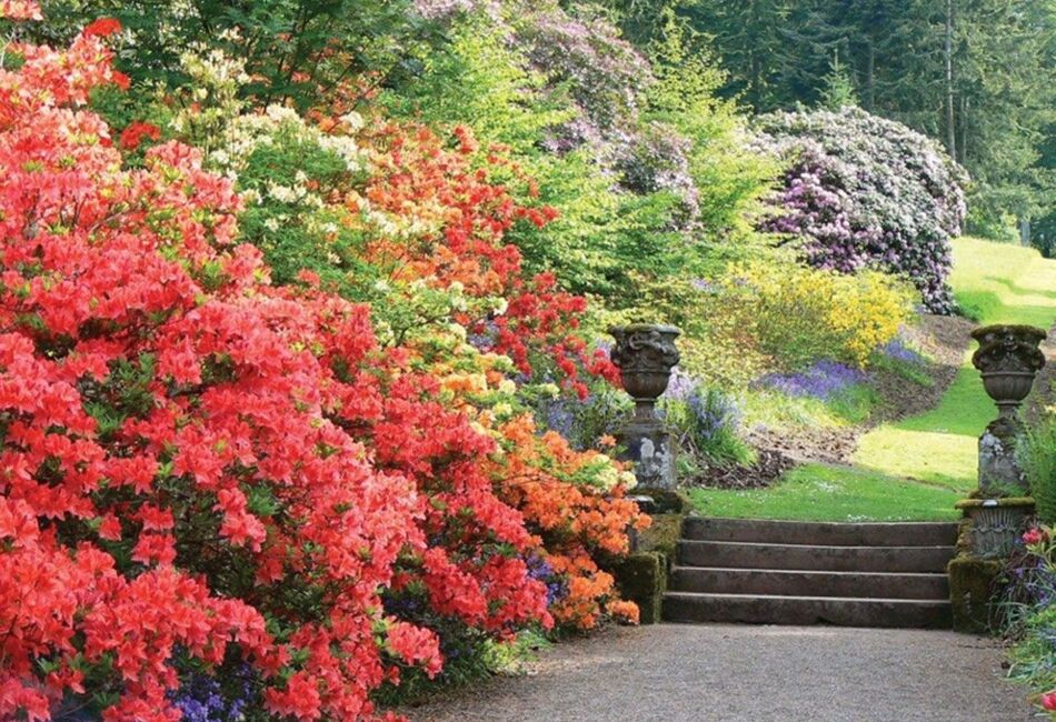 Dawyck Botanic Gardens in Bloom